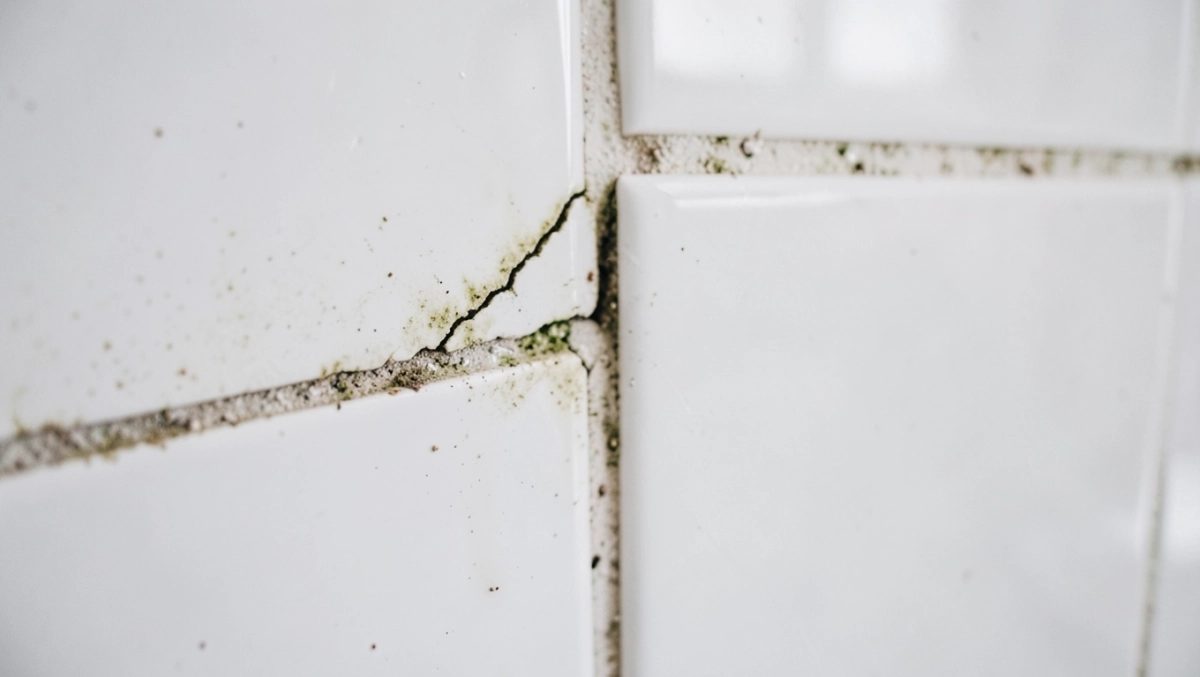 czym zabezpieczyć fugi