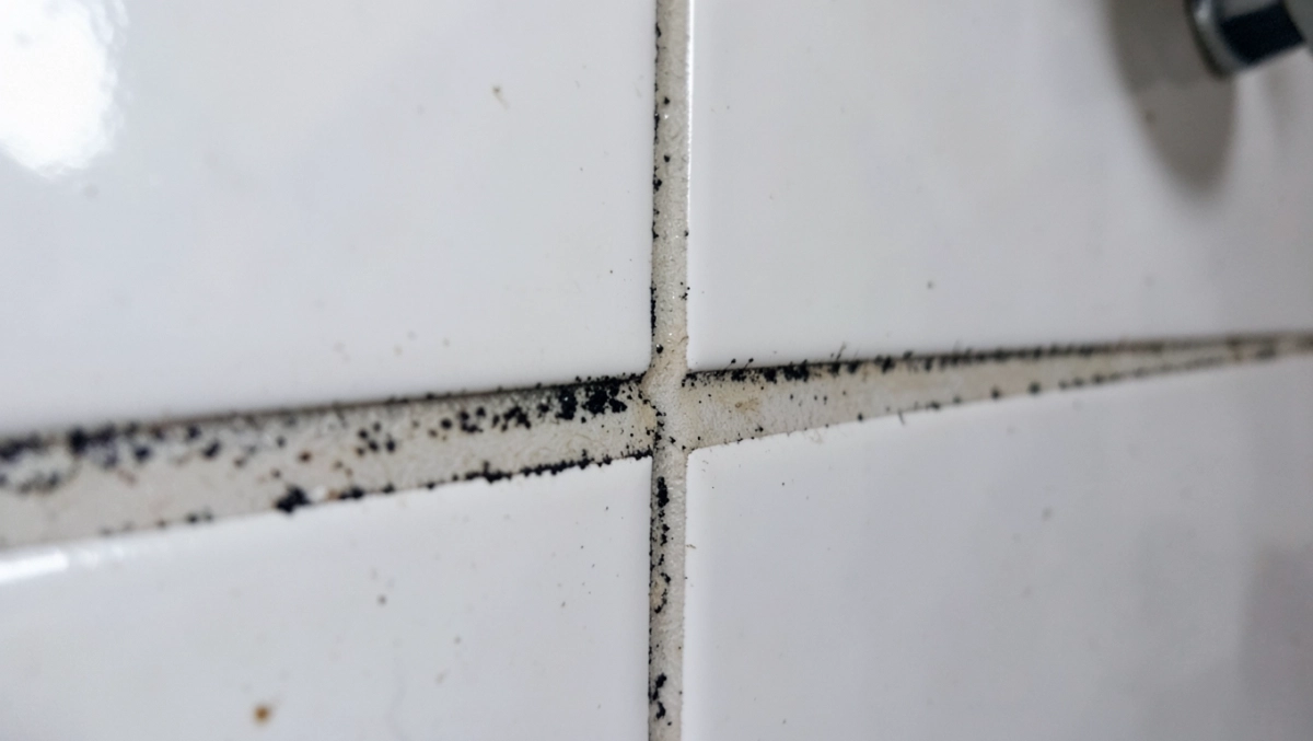 czyszczenie fugi z pleśni