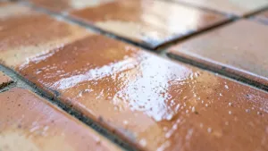 cena terakoty za m2 Elbląg