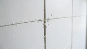 Cena za montaż płyt gipsowych na klej