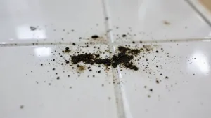 Ciemne plamy na płytkach