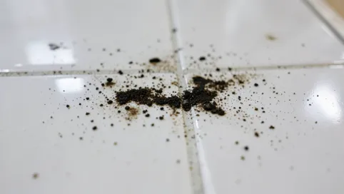 Ciemne plamy na płytkach