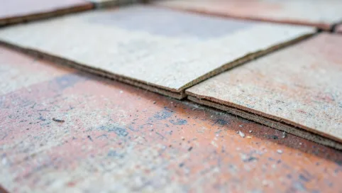 Co Na Papę Pod Płytki