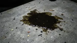 Co na posadzkę w garażu