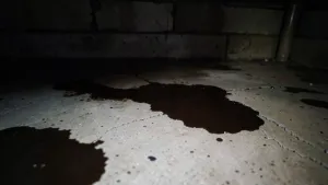 Co na posadzkę w piwnicy