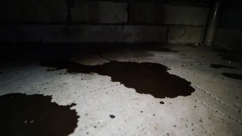 Co na posadzkę w piwnicy