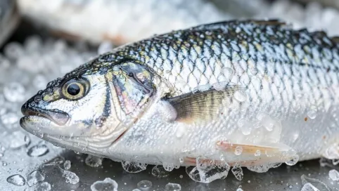 Co to jest glazura na rybie