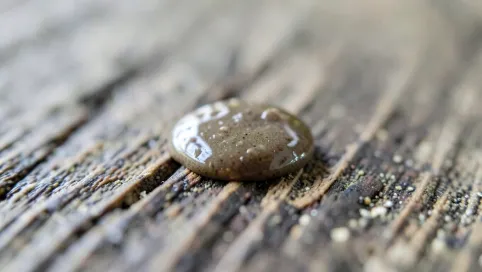 Czy klej Mamut twardnieje