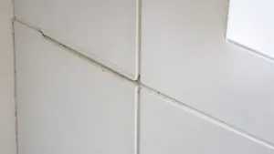 Czy Można Kłaść Płytki Na Farbę Emulsyjną