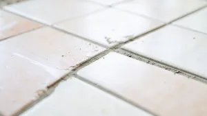 Czy Można Kłaść Płytki Na Płytki