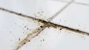 Czym wyczyścić brudne fugi na podłodze