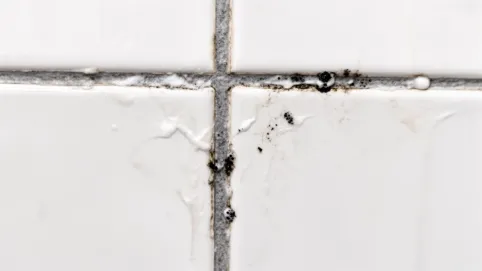 czym wyczyścić fugi w płytkach