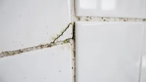 czym zabezpieczyć fugi