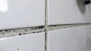 czyszczenie fugi z pleśni