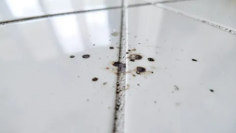 Dziwne plamy na płytkach