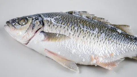 Ile glazury na rybach mrożonych