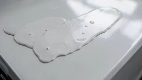 Ile schnie żywica samochodowa