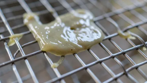 Ile warstw kleju na siatkę