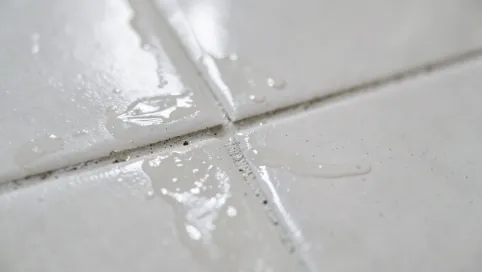 Impregnat do fug efekt mokrej fugi