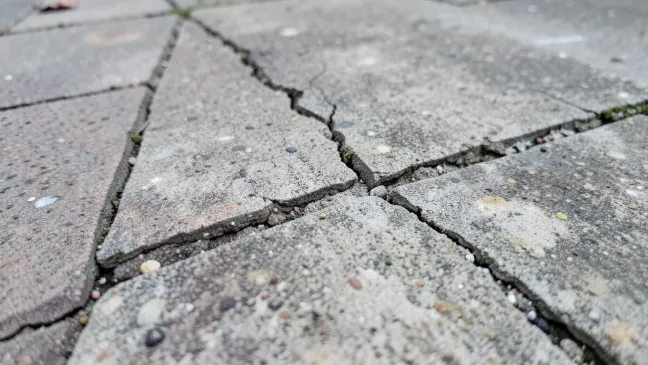 Jak naprawić popękane fugi na tarasie