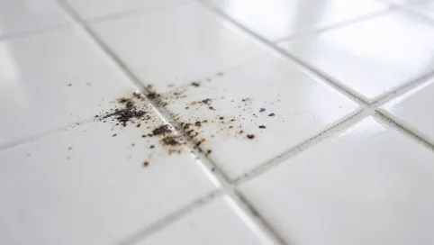 Jak Usunąć Przebarwienia Na Płytkach