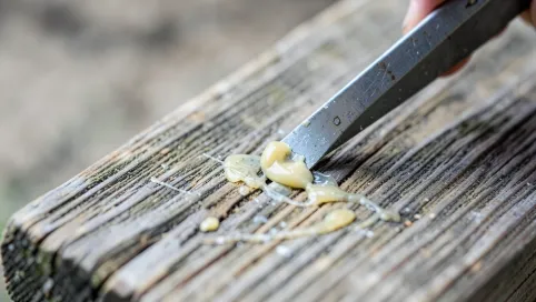 Jak usunąć stary klej z drewna