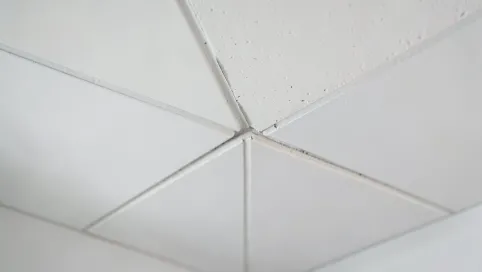 Jaka szerokość fugi do gresu 120x120