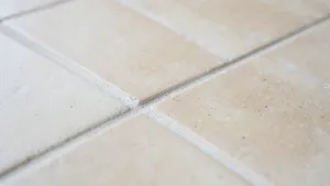 Jaki kolor fugi do beżowych płytek