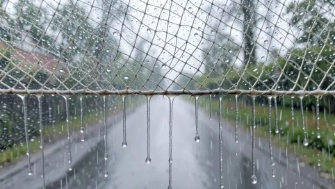 Klej do siatki a deszcz