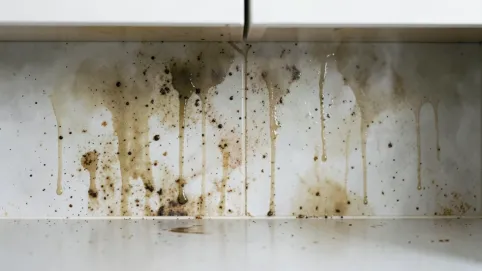 laminat między szafkami w kuchni