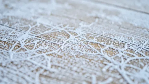 Panele podłogowe a mróz