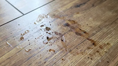 Plamy na panelach podłogowych