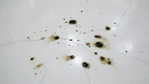 Plamy na posadzce żywicznej