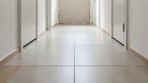 Płytki do przedpokoju 60x60