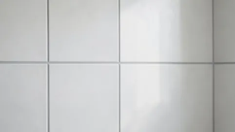 Płytki na ścianę bez fugi