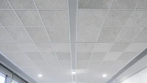 Płytki Na Suficie Podwieszanym