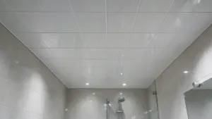 Płytki Na Sufit Do Łazienki