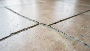 Płytki w salonie  wady