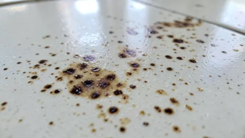 Przebarwienia na płytkach gresowych