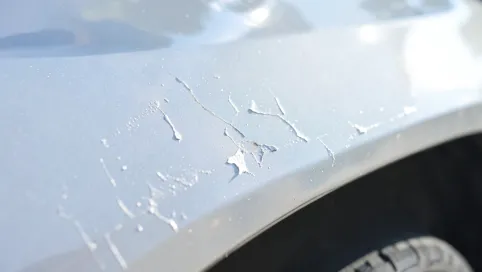 Schodzi lakier bezbarwny jak naprawić