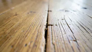 Skrzypiąca podłoga z paneli