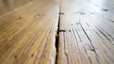Skrzypiąca podłoga z paneli