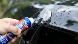 SONAX preparat do usuwania żywicy