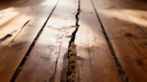Szczeliny między deskami podłogowymi