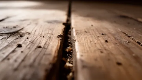 Szpara między deskami podłogi inaczej