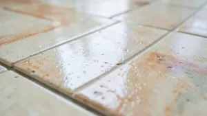 Tanie Płytki 2 Gatunek