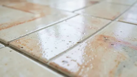 Tanie Płytki 2 Gatunek