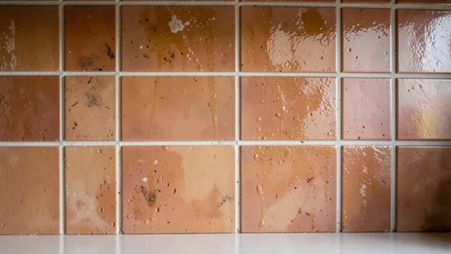 Terakota na ścianę