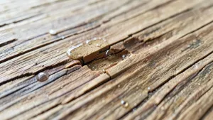 Uzupełnianie ubytków w drewnie żywica