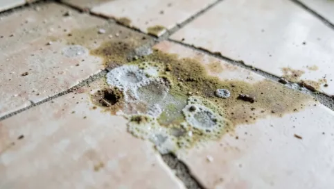 Wilgoć Pod Płytkami